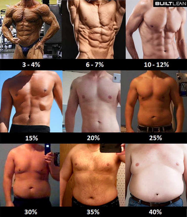 Recommended Body Fat For Men 53